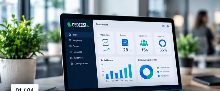 Desarrollo de software